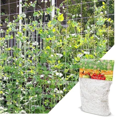 (1,67m x 5 m)Filet pour Plantes Grimpantes, Grande Maille Filet Tuteur, Grimpante en Polyethylene Filet de Treillis, pourTomates, Raisins, Concombres, Autres Fruits et Légumes, Blanc (1/4)