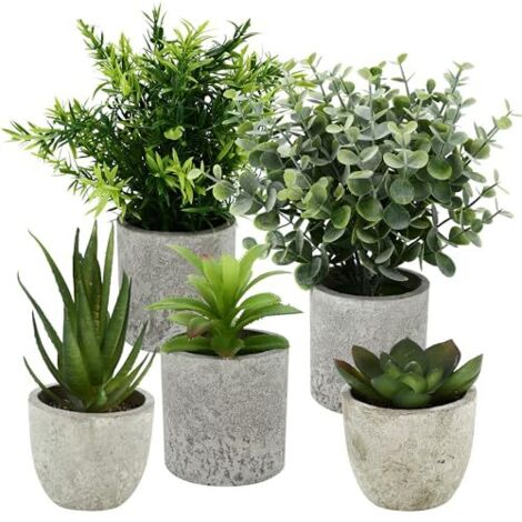 5 Pieces Plantes Artificielle, Mini Plantes artificielles Interieur Serpentine, Agave succulentes, Griffe d'aigle Aloe Vera, pour Chambre Bureau Decoration (1/4)