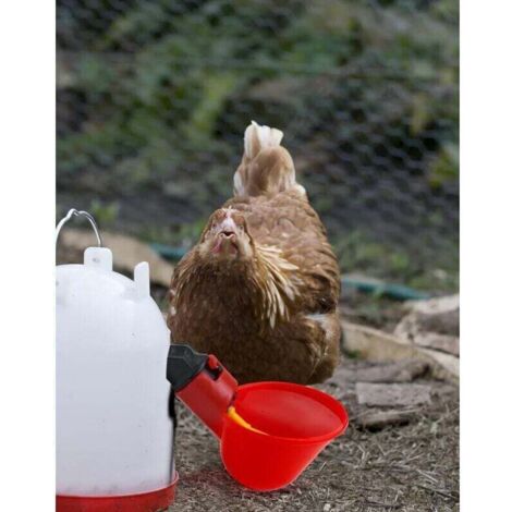 Mangeoire Et Abreuvoir Automatique Pour Poules – Pour Basse-cour Intérieur/extérieur – Nourriture Et Eau Propres, Stable | Sécurité Et Hygiène