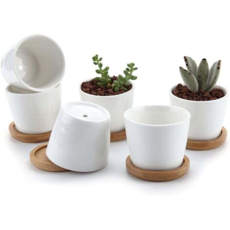 6.5CM Pot de Succulent en Céramique Blanc avec Plateau en Bambou Lot de 6, Cactus Plante Planteur Cache Pot Jardinière Contenant Cadeau pour Anniversaire Mariage (1/5)
