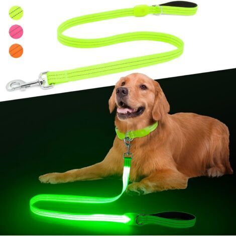 Ede Laisse pour chien LED rechargeable par USB de 1,2 m, flexible, étanche et réfléchissante, idéale pour les promenades nocturnes des chiens de grande et moyenne taille. (1/5)