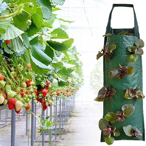Lot de 2 sacs suspendus à la fraise 8 trous sacs de culture suspendus sacs de culture de tomate fraise intérieur extérieur plantation verticale légumes herbes fleurs