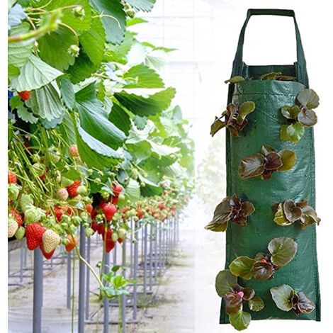 2 sacs de culture verticaux en PE avec 8 poches, pour germination 3D, jardins verticaux, balcons – Gain de place, système suspension inclus, drainage efficace, parfait salades et fraises (1/3)