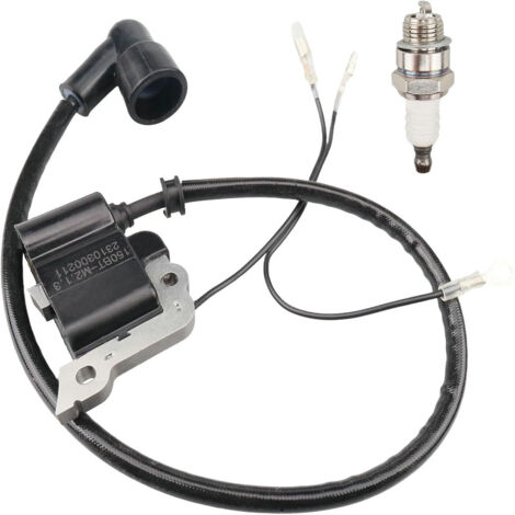 Bobine d'Allumage pour Souffleur 150BT, 350BT, 150BF, 350BF - Avec Bougie (1/3)