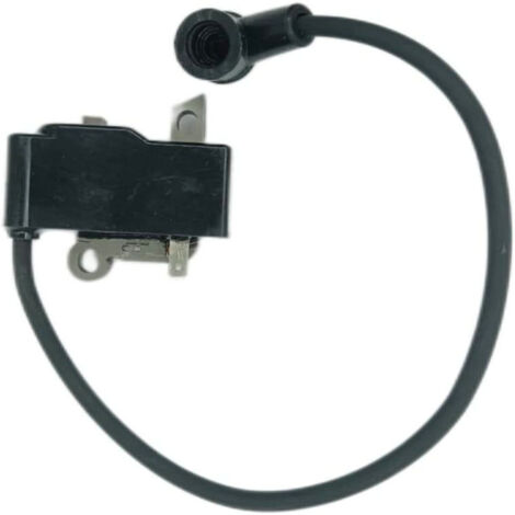 Bobine d'Allumage pour 129C, 129L, 129R, BC2228, GT2228, GTS2228 (1/3)