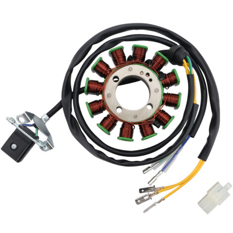 Bobine de stator pour quad/moto tout-terrain Caravel Shark 250  Pièce de rechange pour bobine d'alternateur magnétique de quad/moto (1/5)