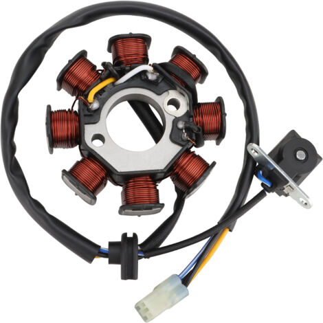 Bobine d'allumage magnéto universelle pour quads enfants Polaris Sportsman 90 / RZR 170 / Outlaw 50/90 (1/5)