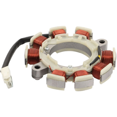 Convient au moteur GX160-6, diamètre d'arbre de 19,05 mm, bobine de stator de magnéto universelle pour groupe électrogène/pompe à eau/pièces de machines agricoles, assemblage de bobine de stator de qu (1/5)