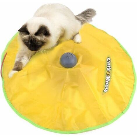Largeight – Jouet interactif pour chat – Mouvements imprévisibles – 4 vitesses ajustables – Exercice pour chats d'intérieur – Facile à assembler et nettoyer (1/5)