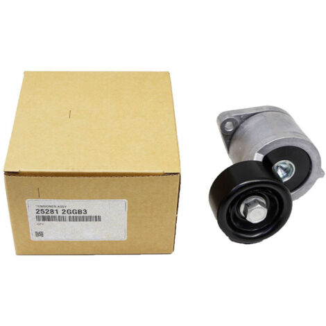 252812GGB3 convient aux ensembles de tendeurs de courroie des modèles Hyundai Sonata Santa Fe Tucson 2.0L et 2.4L. (1/5)