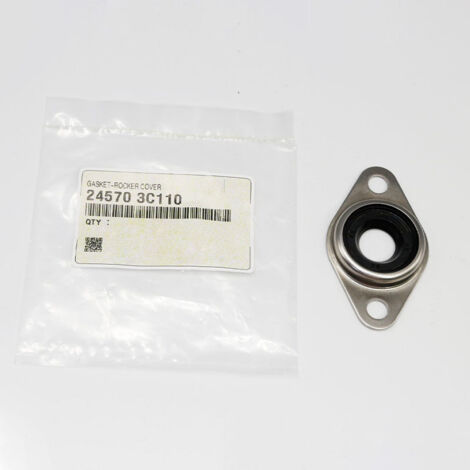 La référence 245703C110 convient aux bouchons de soupape de carburant des moteurs V6 Hyundai et Kia. (1/5)