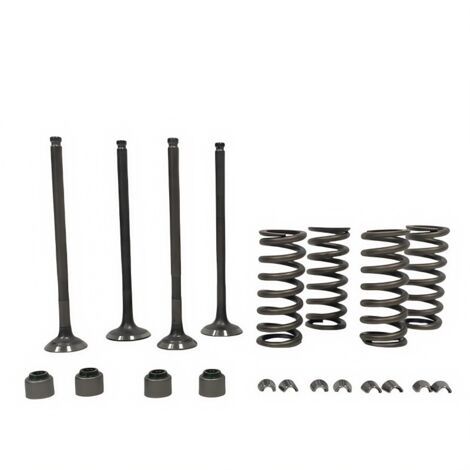 Joints de queue de soupape de moteur de moto compatibles avec les ressorts YAMAHA YFZ R15 TMAX155 VIVINO155 (1/3)
