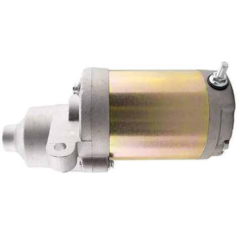 Démarreur 751-12207 751P12207A compatible avec MTD Craftsman (1/3)