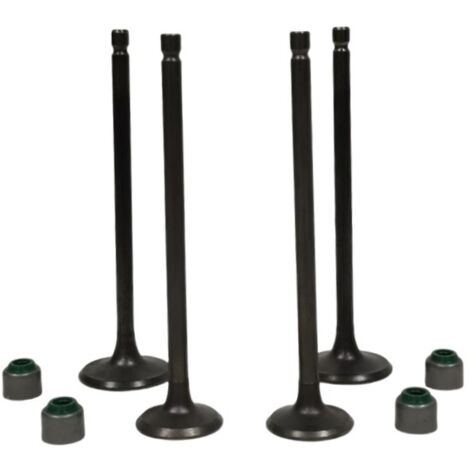 Joints de queue de soupape de moteur de moto adaptés aux modèles BAJAJ PULSAR NS160 et NS150. (1/3)