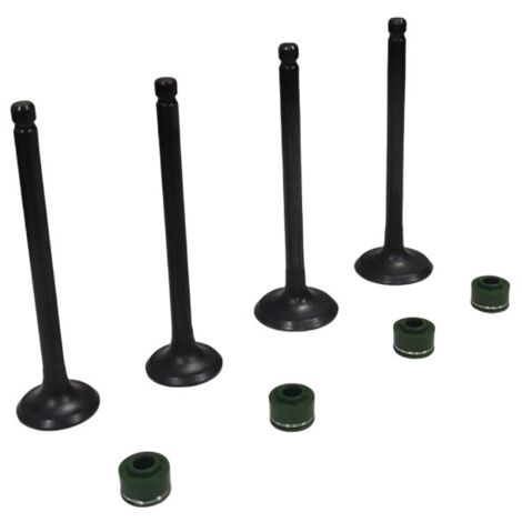 Joints de queue de soupape 253FMM compatibles avec les moteurs de moto Honda CBT250, CA250 et CMX250 (1/3)