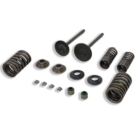 Ressorts de soupapes de moteur de moto adaptés aux soupapes Honda CBF150, XR150, KTT150 et SDH150. (1/3)