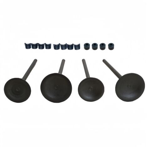Joints de queue de soupape de moteur de moto compatibles avec les soupapes Benelli BJ250, TNT250 et BJ250-15A. (1/3)