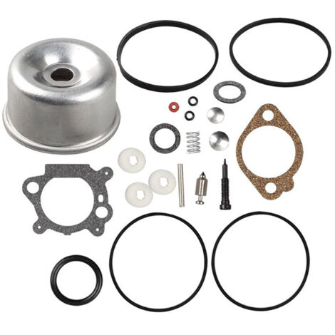 Kit de réparation compatible avec Briggs and Stratton 498260 492495 796611 493640 (1/5)