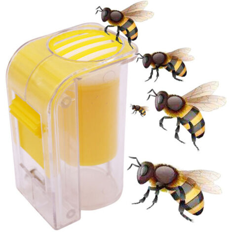 Marqueur de reine des abeilles, collecteur de reines avec flacon à piston à une main, outil d'apiculteur en peluche - AquaForge