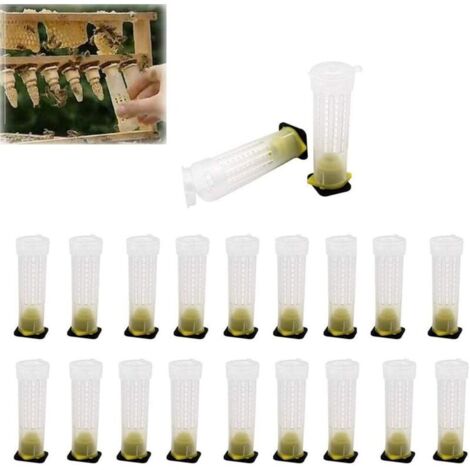 Lot de 20 coupelles d'élevage de reines pour ruches, matériel apicole Inse, ZQKLA - AquaForge