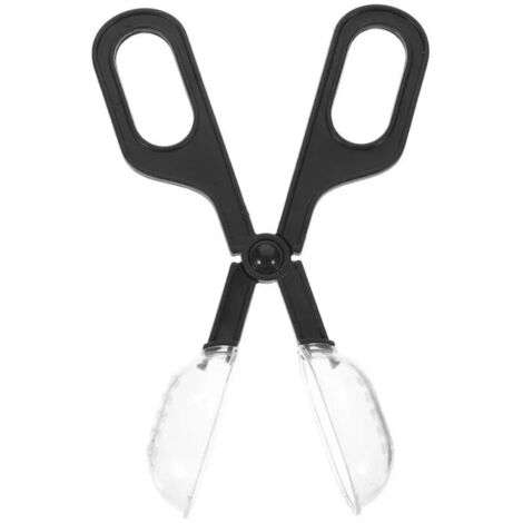 Ensemble cage à reine, cellules d'abeilles, pince à ruche, apiculture, porte-outils apicole en plastique. - AquaForge