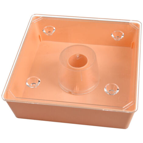 Abreuvoir/nourrisseur à abeilles carré de style européen avec grande capacité pour le miel - AquaForge