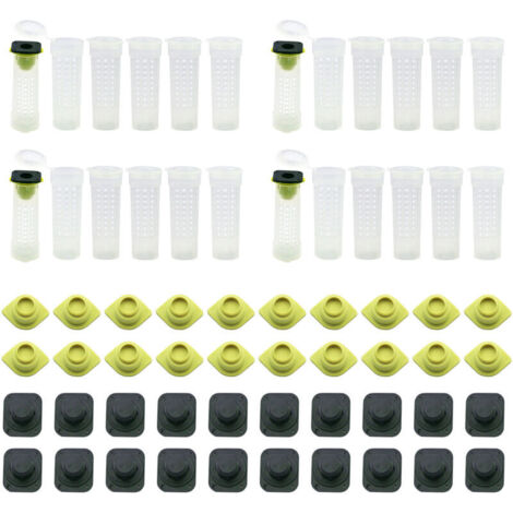 Kit de 24 cages apicoles - Cage à reine roulante, matériel et outils pour insectes, 7,6 x 2,6 cm - AquaForge