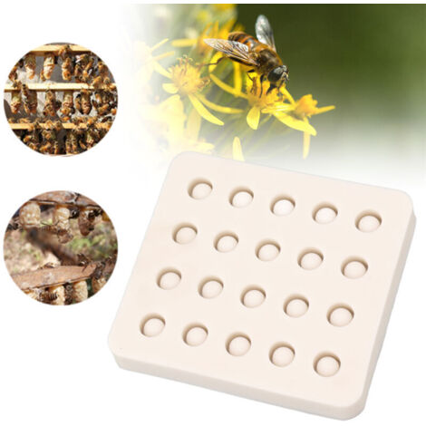 Moule en silicone pour l'élevage de reines, 20 unités, apiculture, avec cire d'abeille et alvéoles de jardin, DUBUNS - AquaForge