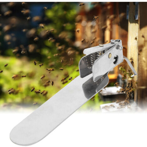Outil de greffage pour l'apiculture, aiguille de transfert de larves de reines à pointe unique, DUBUNS - AquaForge