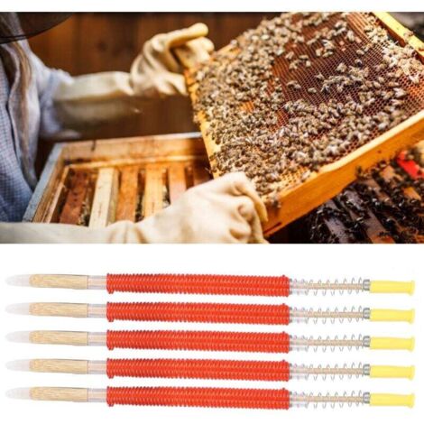 25 aiguilles à greffer pour l'élevage de reines - Compatibles avec le matériel apicole - AquaForge