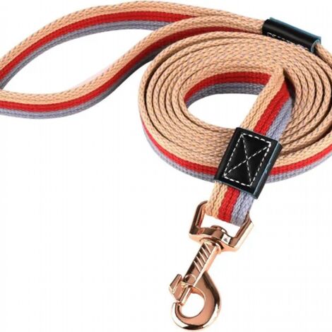 Laisse de dressage pour chien durable de 2 m, antidérapante, adaptée aux chiens de petite, moyenne et grande taille (rouge) (1/5)