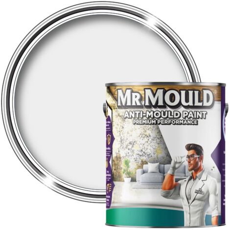 MR MOULD - Anti-Mould Paint - Premium Colour & Protection for Interior Walls & Ceilings - Light Grey - 1L (1/5)