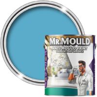 MR MOULD - Anti-Mould Paint - Premium Colour & Protection for Interior Walls & Ceilings - Pale Blue - 5L
