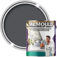 MR MOULD - Anti-Mould Paint - Premium Colour & Protection for Interior Walls & Ceilings - Classic Grey - 5L