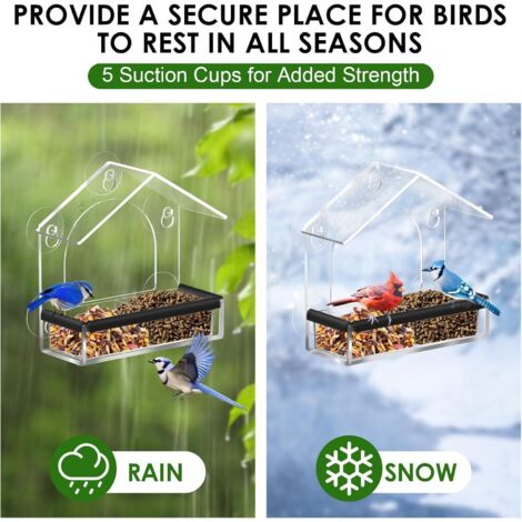 Déflecteur De Mangeoire à Oiseaux – Bouclier D'écureuil