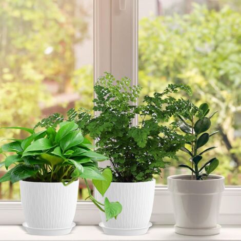 Pot De Fleurs Auto-irrigant - Système De Réserve D'eau Intérieure, Pour Plantes D'intérieur, Bonsaï - 8