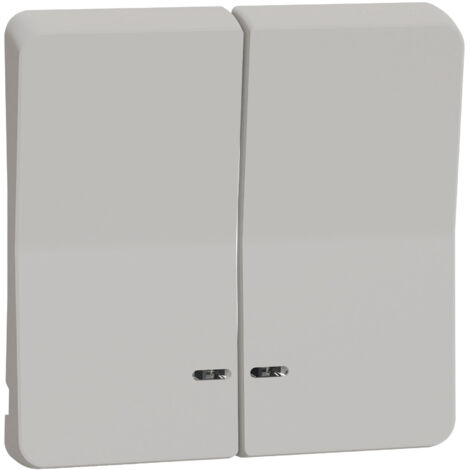 Enjoliveur 2 demi touche - IP55 - IK08 - Blanc - Mureva Styl - MUR39205 - Schneider (1/5)