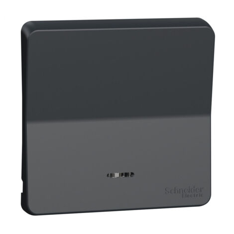 Enjoliveur avec lentille IP55 IK08 gris Appareillage étanche sup IP55 Mureva Styl - MUR34204 - Schneider (1/4)