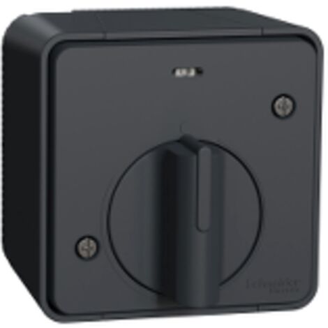 interrupteur temporisé - gris - saillie - mureva styl - schneider electric mur35067