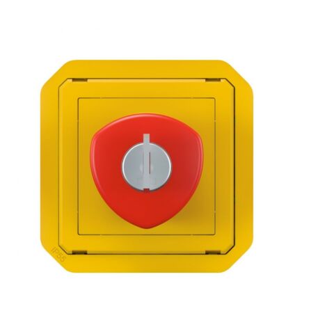 Coup de poing d'urgence déverrouillage à clé Plexo composable gris/jaune (069548L)