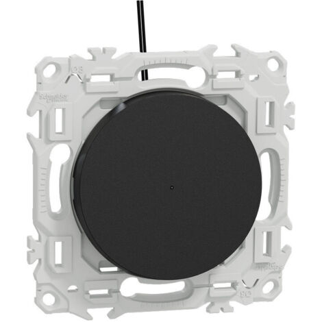 Va-et-vient ou poussoir lumineux noir Odace (S940263) (1/3)