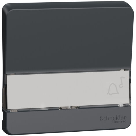 Enjoliveur porte étiquette lumineux IP55 IK08 gris Appareillage étanche sup IP55 Mureva Styl - MUR34203 - Schneider