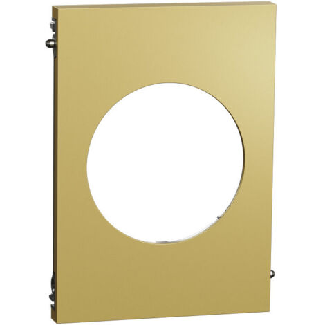 Plaque Odace Laiton Architecte 1 poste centrale (S932801)