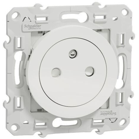 Schneider Electric – Lot de 100 prises de courant 2P+T affleurantes – Blanc – Pour installation électrique en milieu humide – Indice de protection IP44 (1/4)
