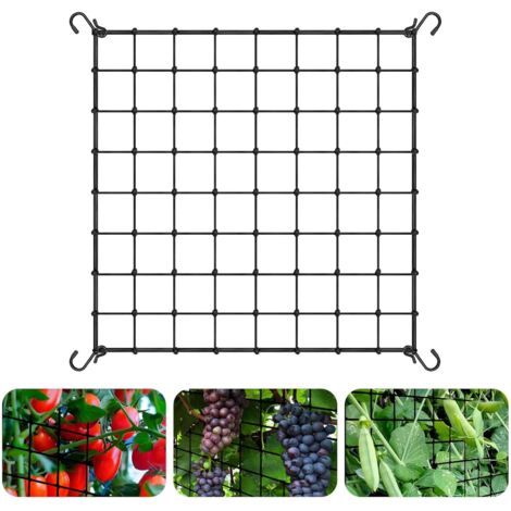 Filet de Tente de Culture 120 X 120 cm, Filet Palissage pour Scrog Net avec 4 Crochets, Treillis Élastique en Maille pour Plantes, Légumes, Fruits, Fleurs, Jardin, Balcons (1/5)