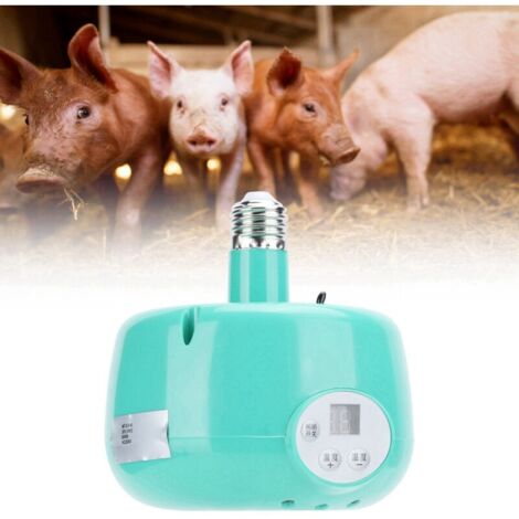 Lampe chauffante E27. Thermostat de chauffage à température réglable pour équipement de conservation de la chaleur (1/5)