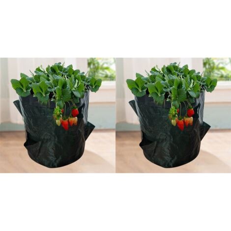 Sacs de Culture pour Fraise. 2PCS 18L/5 Gallons Sac de Legumes. Tissu Non-tissé Sac de Plantation avec Fenêtre. Sac de Legumes de Jardin (23X28CM (4 ports)) (1/5)