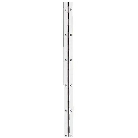 Charnière piano acier nickelé 1980 mm – Largeur 32 mm – Conception à nœud roulé pour installation facile – Charge maximale élevée