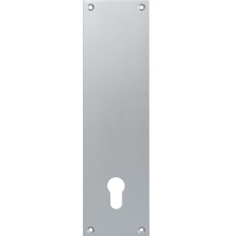 Duval – Contre-plaque en aluminium argenté – Résistant aux intempéries – Finition moderne pour applications diverses – Plaque pour porte