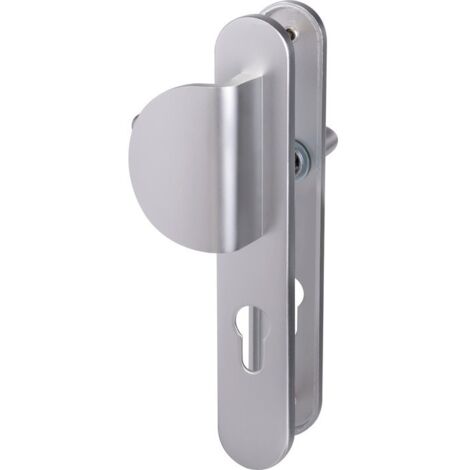Poignée de porte d'entrée à cylindre – Entraxe 195 mm – Finition gris argent – Pour épaisseur de porte 40 mm – Eurowale